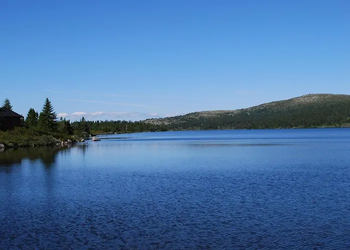 Fjellpark, Hyttegrend *