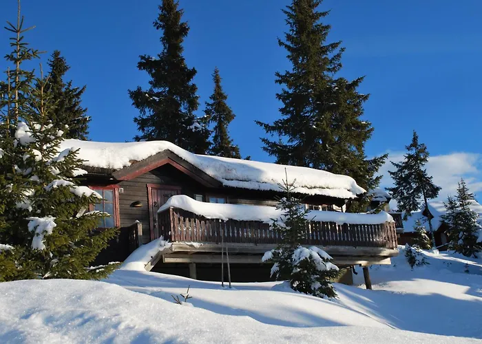 Fjellpark, Hyttegrend بيت خشبي *