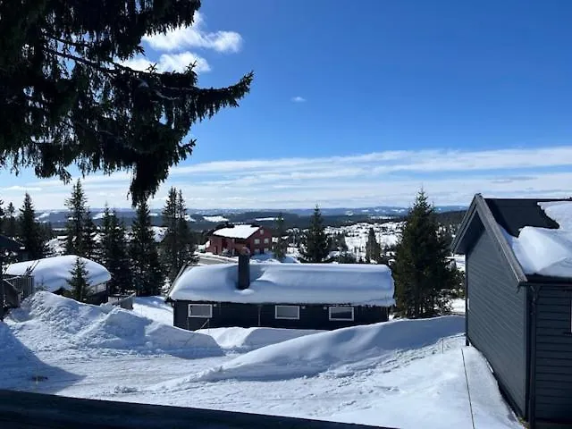 Fjellpark, Hyttegrend بيت خشبي *