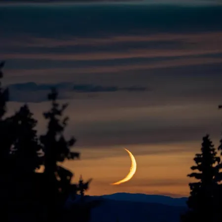 Fjellpark, Hyttegrend بيت خشبي