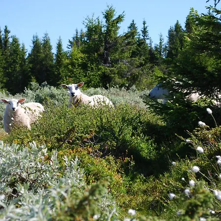 Fjellpark, Hyttegrend