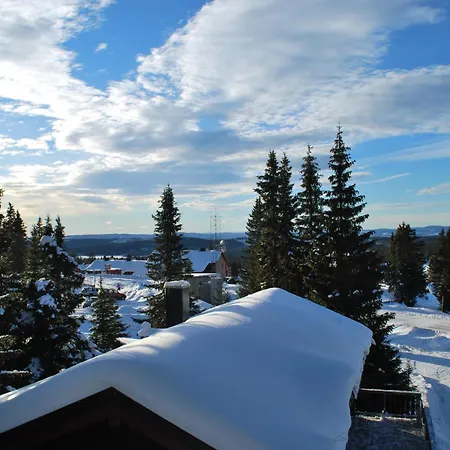 Fjellpark, Hyttegrend *