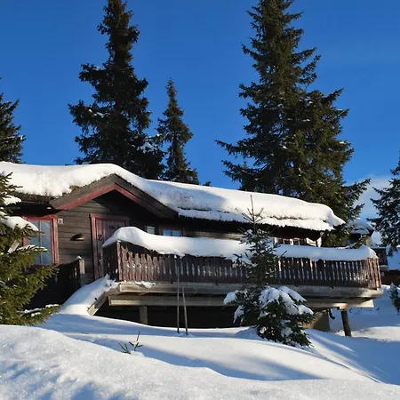 Fjellpark, Hyttegrend بيت خشبي *