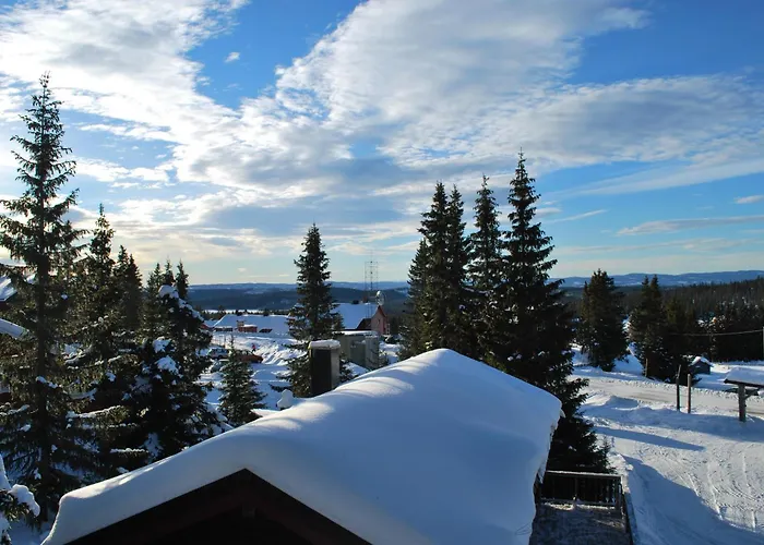 Fjellpark, Hyttegrend *